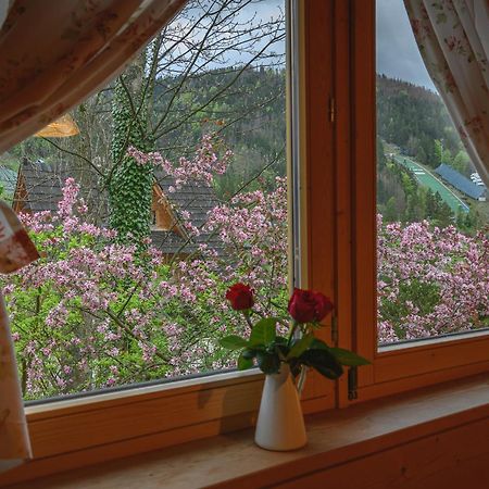 Regionalny Domek Pod Skocznia Zakopane Buitenkant foto