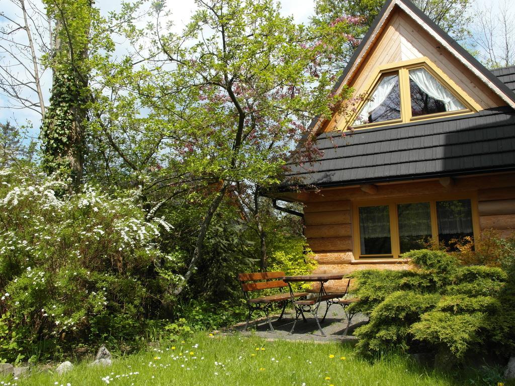 Regionalny Domek Pod Skocznia Zakopane Buitenkant foto