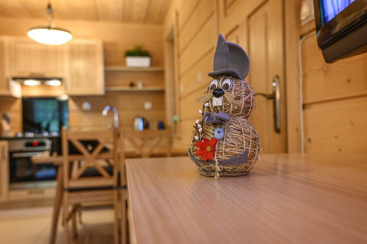 Regionalny Domek Pod Skocznia Zakopane Buitenkant foto