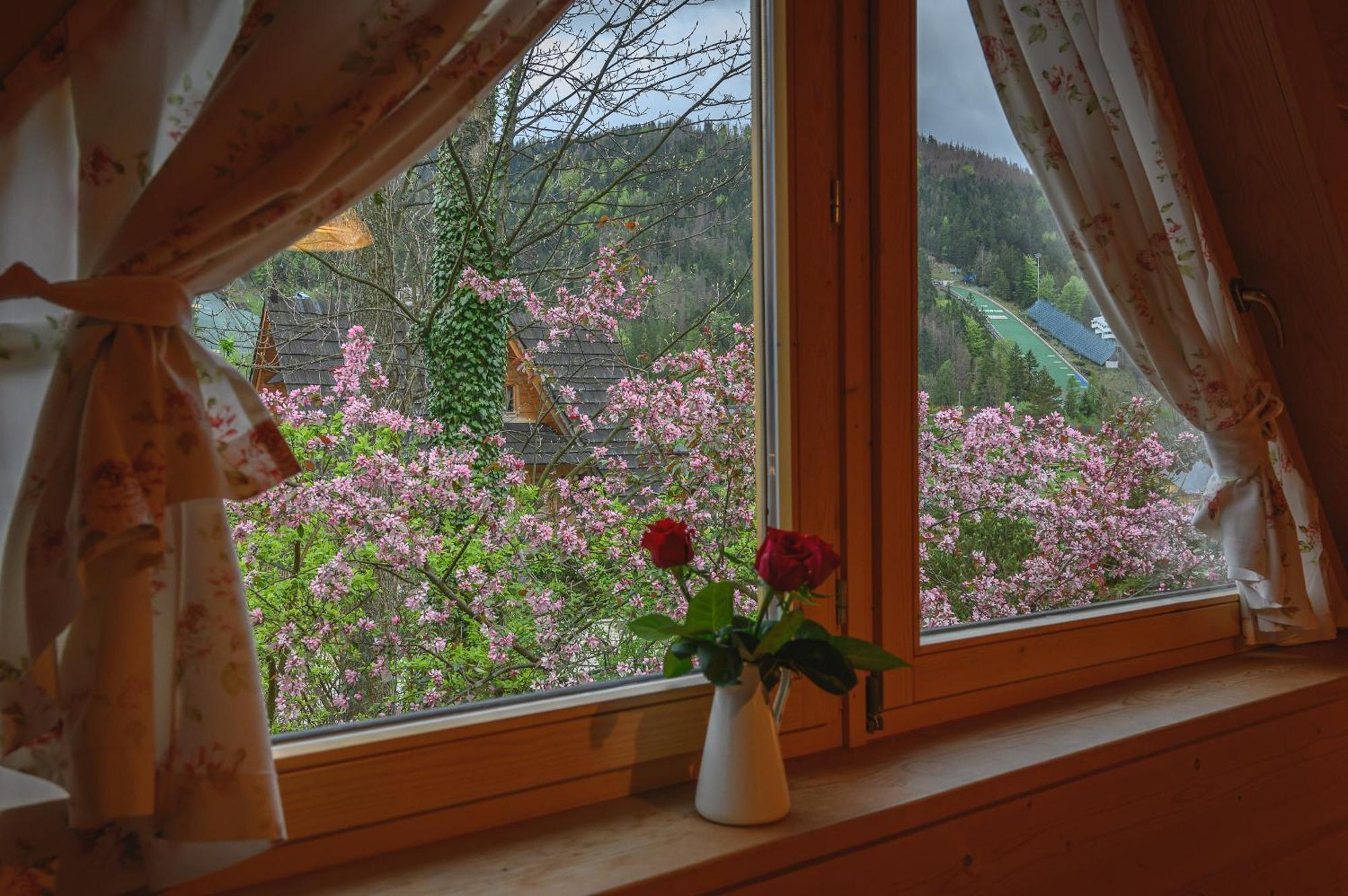 Regionalny Domek Pod Skocznia Zakopane Buitenkant foto
